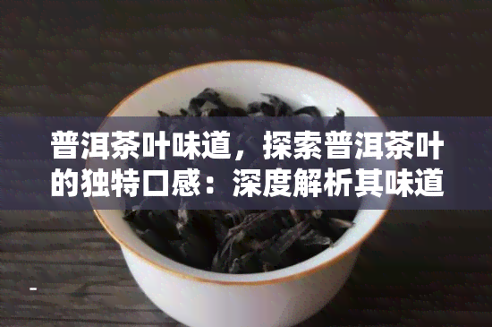 普洱茶叶味道，探索普洱茶叶的独特口感：深度解析其味道特点