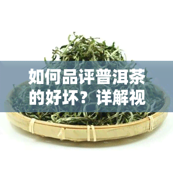 如何品评普洱茶的好坏？详解视频教程