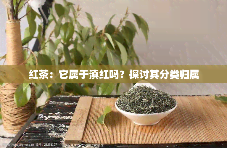 红茶：它属于滇红吗？探讨其分类归属