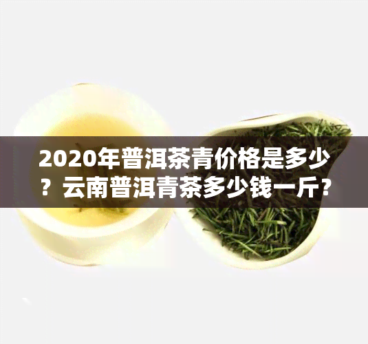 2020年普洱茶青价格是多少？云南普洱青茶多少钱一斤？