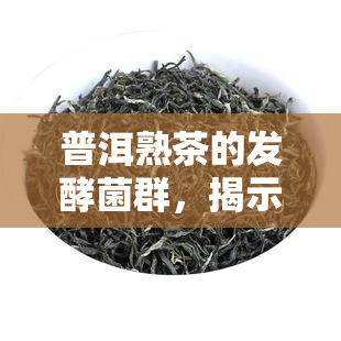 普洱熟茶的发酵菌群，揭示普洱熟茶独特口感的秘密：发酵菌群解析