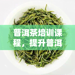 普洱茶培训课程，提升普洱茶品味：参加我们的专业普洱茶培训课程