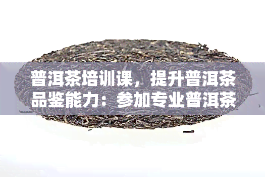 普洱茶培训课，提升普洱茶品鉴能力：参加专业普洱茶培训课程