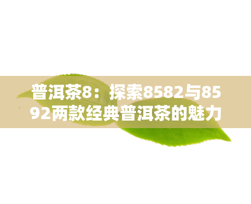 普洱茶8：探索8582与8592两款经典普洱茶的魅力