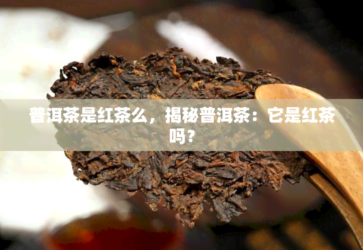 普洱茶是红茶么，揭秘普洱茶：它是红茶吗？