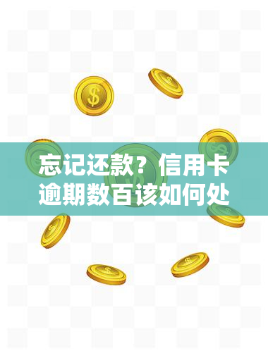 忘记还款？信用卡逾期数百该如何处理及可能后果