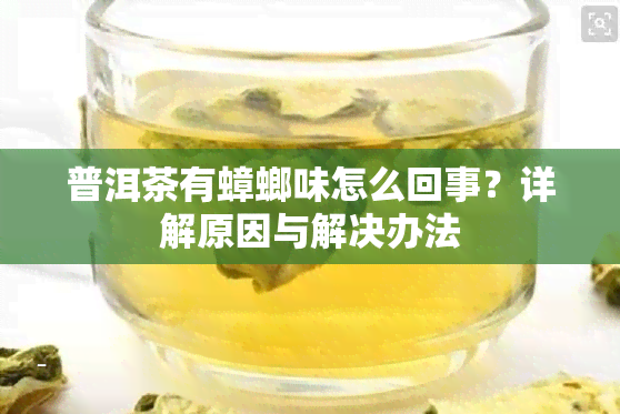 普洱茶有蟑螂味怎么回事？详解原因与解决办法