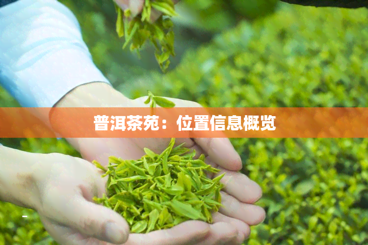 普洱茶苑：位置信息概览