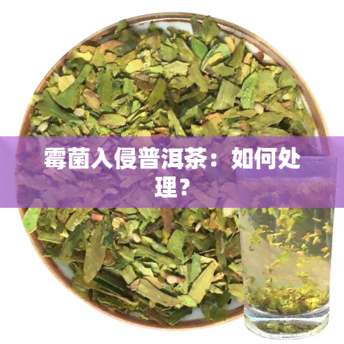 霉菌入侵普洱茶：如何处理？