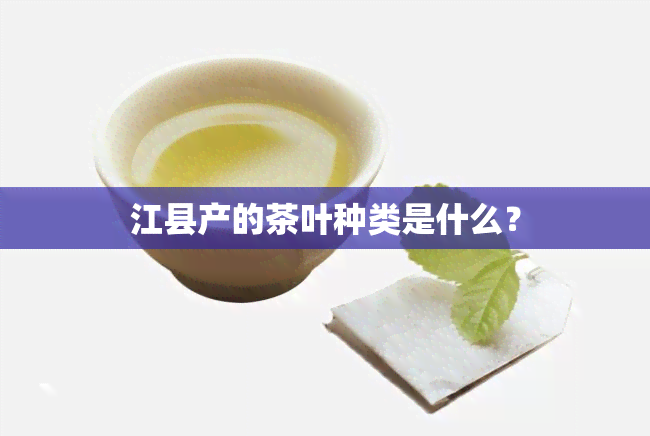 江县产的茶叶种类是什么？