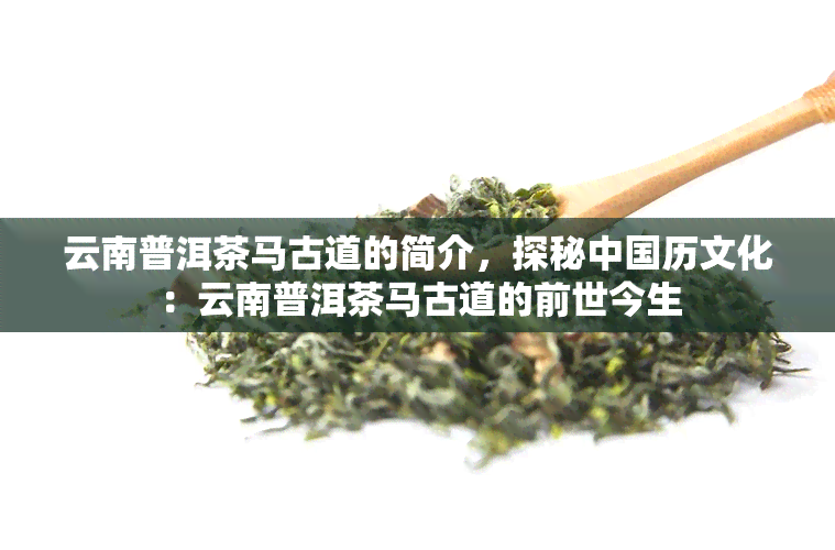 云南普洱茶马古道的简介，探秘中国历文化：云南普洱茶马古道的前世今生