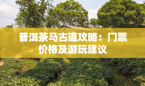 普洱茶马古道攻略：门票价格及游玩建议