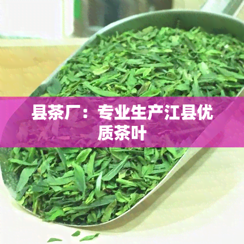 县茶厂：专业生产江县优质茶叶