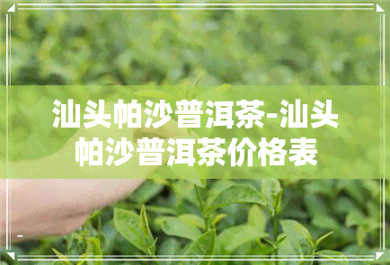 汕头帕沙普洱茶-汕头帕沙普洱茶价格表