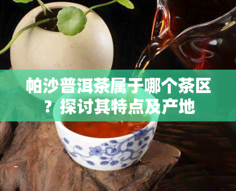 帕沙普洱茶属于哪个茶区？探讨其特点及产地