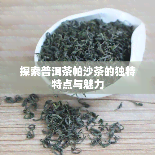 探索普洱茶帕沙茶的独特特点与魅力