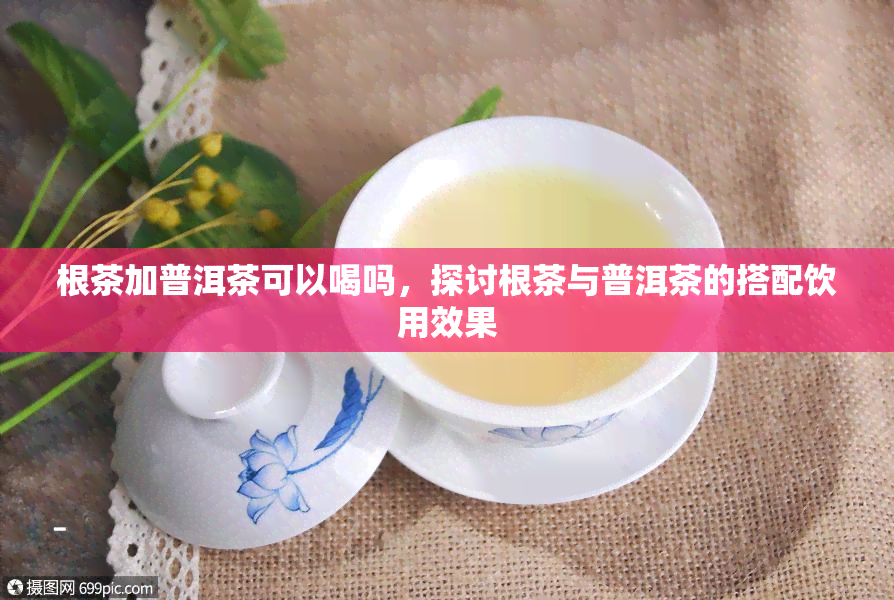 根茶加普洱茶可以喝吗，探讨根茶与普洱茶的搭配饮用效果