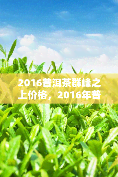 2016普洱茶群峰之上价格，2016年普洱茶：群峰之上的珍品，你了解其价格吗？