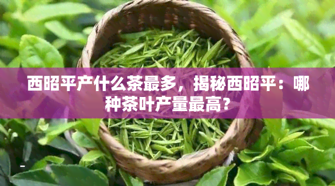 西昭平产什么茶最多，揭秘西昭平：哪种茶叶产量更高？