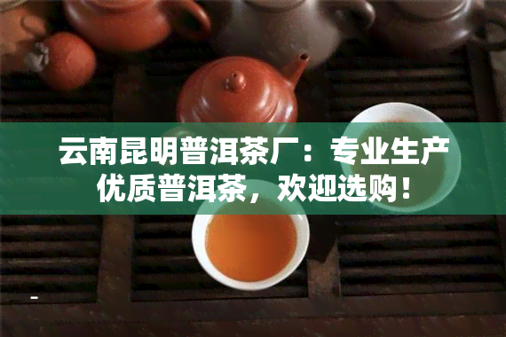 云南昆明普洱茶厂：专业生产优质普洱茶，欢迎选购！