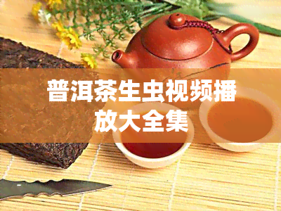 普洱茶生虫视频播放大全集