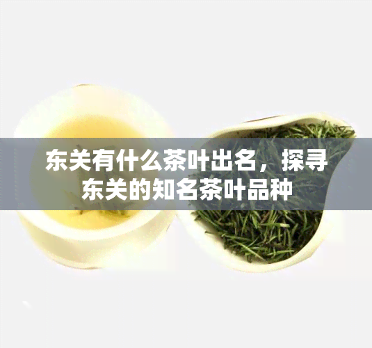 东关有什么茶叶出名，探寻东关的知名茶叶品种