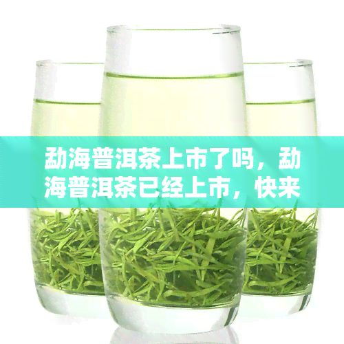 勐海普洱茶上市了吗，勐海普洱茶已经上市，快来尝！