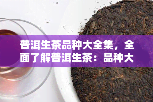 普洱生茶品种大全集，全面了解普洱生茶：品种大全集解析