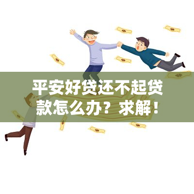 平安好贷还不起贷款怎么办？求解！