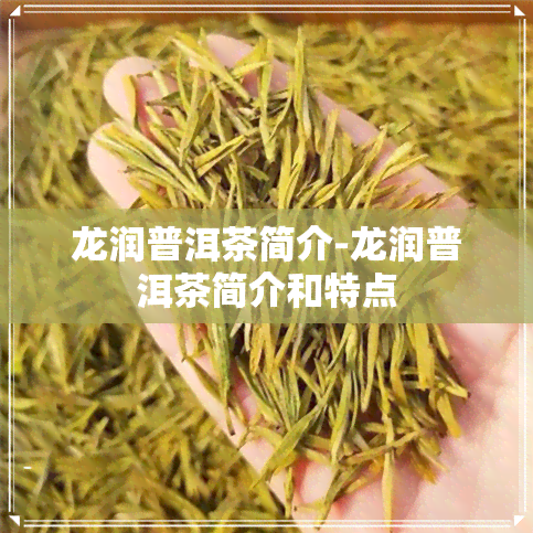 龙润普洱茶简介-龙润普洱茶简介和特点