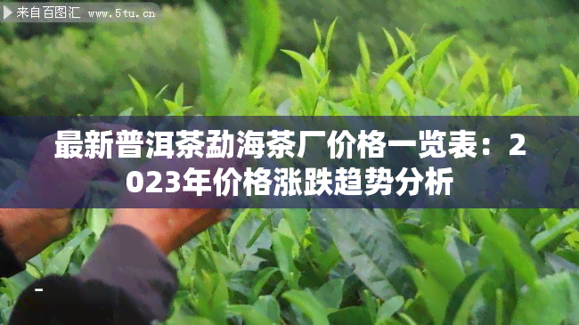 最新普洱茶勐海茶厂价格一览表：2023年价格涨跌趋势分析