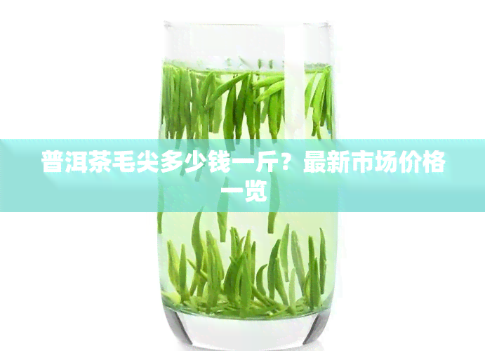 普洱茶毛尖多少钱一斤？最新市场价格一览