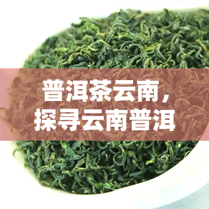 普洱茶云南，探寻云南普洱茶的韵味与故事