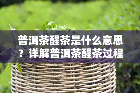 普洱茶醒茶是什么意思？详解普洱茶醒茶过程及所需时间