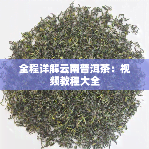 全程详解云南普洱茶：视频教程大全