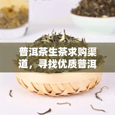 普洱茶生茶求购渠道，寻找优质普洱茶生茶？这里为您推荐可靠购买渠道！