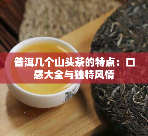 普洱几个山头茶的特点：口感大全与独特风情