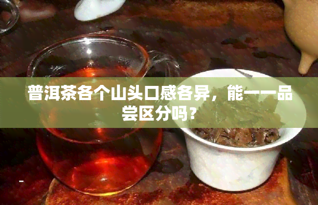 普洱茶各个山头口感各异，能一一品尝区分吗？