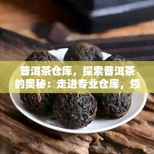 普洱茶仓库，探索普洱茶的奥秘：走进专业仓库，领略陈年老茶的独特韵味