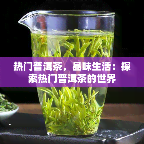 热门普洱茶，品味生活：探索热门普洱茶的世界