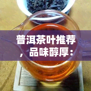 普洱茶叶推荐，品味醇厚：普洱茶叶推荐