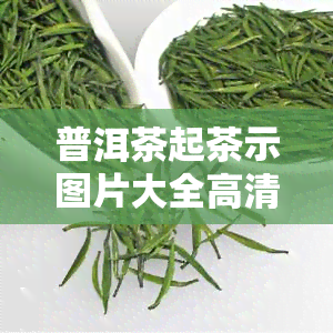 普洱茶起茶示图片大全高清教程