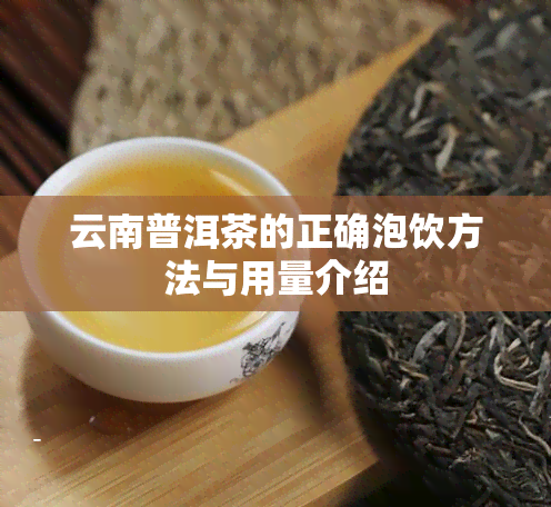 云南普洱茶的正确泡饮方法与用量介绍