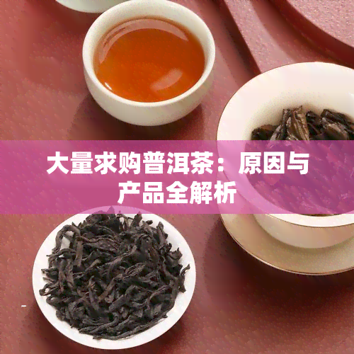 大量求购普洱茶：原因与产品全解析