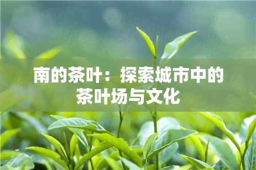 南的茶叶：探索城市中的茶叶场与文化