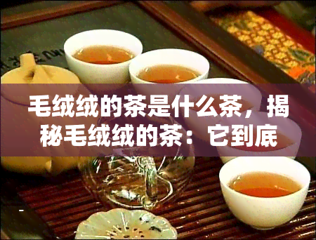 毛绒绒的茶是什么茶，揭秘毛绒绒的茶：它到底是什么茶？