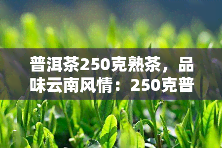 普洱茶250克熟茶，品味云南风情：250克普洱茶熟茶，尽享醇厚口感