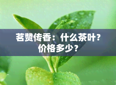 茗赞传香：什么茶叶？价格多少？