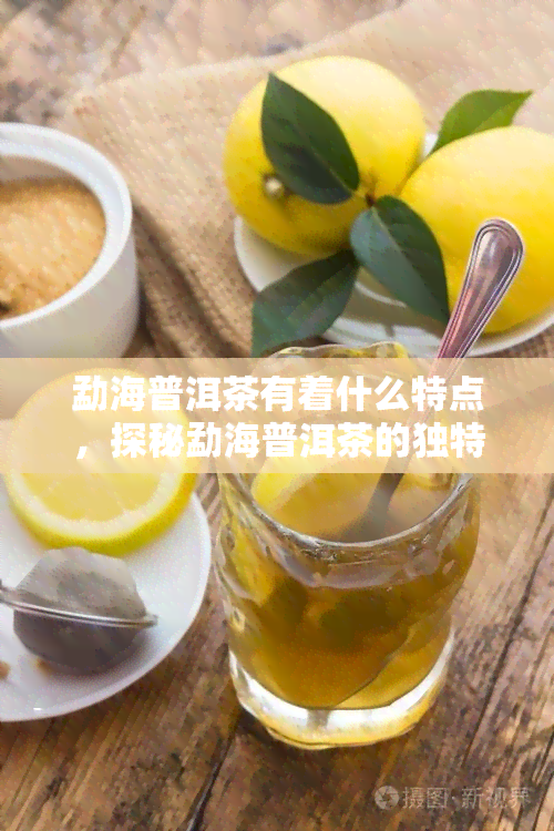 勐海普洱茶有着什么特点，探秘勐海普洱茶的独特魅力