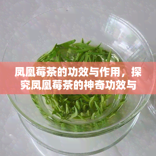 凤凰莓茶的功效与作用，探究凤凰莓茶的神奇功效与作用